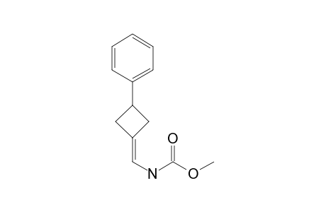 3-Phenyl-1-(N-methoxycarbonylamino)methylenecyclobutane