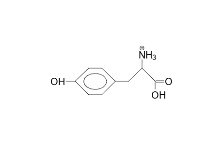 Tyrosine cation