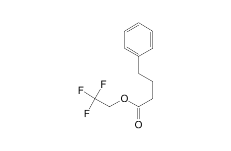 4-Phenylbutyric acid, 2,2,2-trifluoroethyl ester