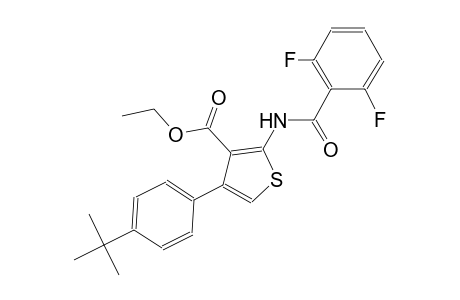 Ethyl 4-(4-tert-butylphenyl)-2-[(2,6-difluorobenzoyl)amino]-3-thiophenecarboxylate