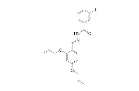 N'-[(E)-(2,4-Dipropoxyphenyl)methylidene]-3-iodobenzohydrazide