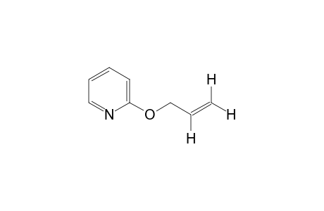 2-Allyloxypyridine