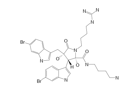 EUSYNTYELAMIDE_E