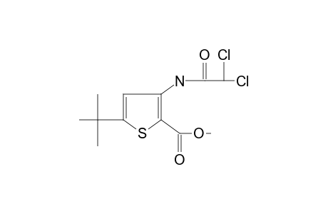 5-tert-butyl-3-(2,2-dichloroacetamido)-2-thiophenecarboxylic acid, methyl ester