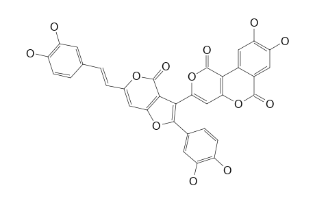 PHELLIGRIDIN_H;8,9-DIHYDRO-3-{2-(3,4-DIHYDROXYPHENYL)-6-(5,6-DIHYDROXYSTYRYL)-FURO-[3.2-C]-PYRAN-4-OXO-3-YL}-PYRANO-[4.3-C]-ISOCHROMEN-4-ONE