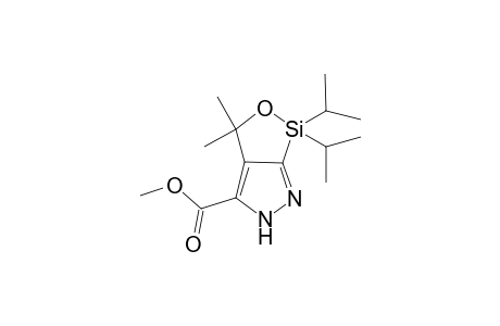 Methyl 1,1-Diisopropyl-3,3-dimethyl-3,5(6)-dihydro-1H-[1,2]oxasilolo[3,4-c]pyrazole-4-carboxylate