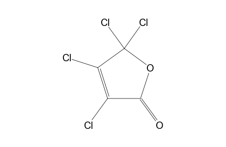 3,4,5,5-TETRACHLOR-3-OXOLEN-2-ONE