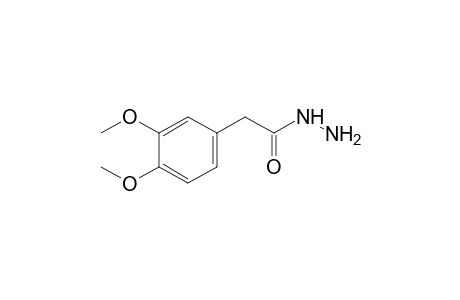 3,4-Dimethoxyphenylacetic acid hydrazide
