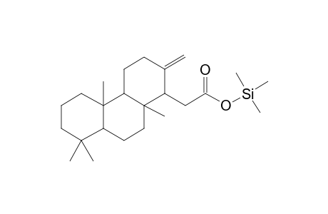 2-(4B,8,8,10A-Tetramethyl-2-methylenetetradecahydrophenanthren-1-yl)acetic acid, tms derivative