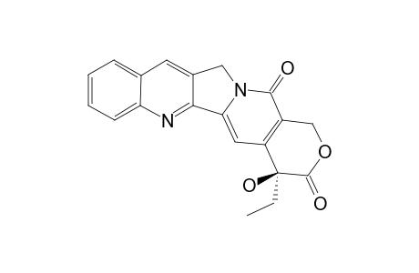 CAMPTOTHECINE
