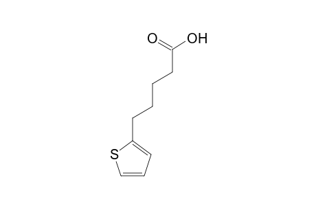 5-(2-Thienyl)pentanoic acid