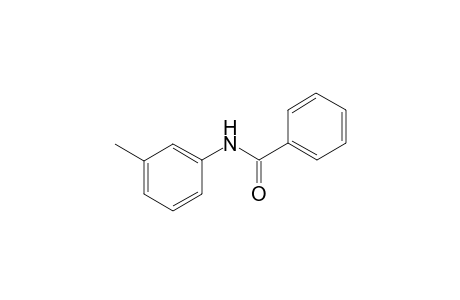 m-BENZOTOLUIDIDE