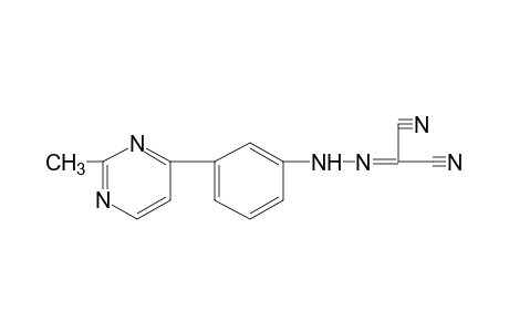 mesoxalonitrile, [m-(2-methyl-4-pyrimidinyl)phenyl]hydrazone