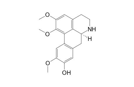 (+)-Laurotetanine