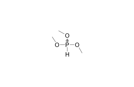 TRIS(METHOXY)PHOSPHONIUM CATION