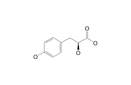 (S)-2-HYDROXY-3-(4-HYDROXYPHENYL)-PROPIONIC-ACID;(-)-BETA-(4-HYDROXYPHENYL)-LACTIC-ACID