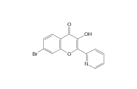 7-bromo-3-hydroxy-2-(2-pyridyl)chromone