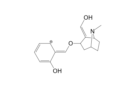 Benzoylecgonine-M (HO-ring) isomer 1 MS3_1