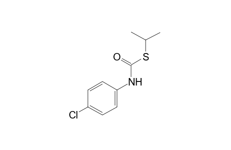 p-chlorothiocarbanilic acid, S-isopropyl ester