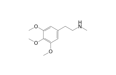 N-Methylmescaline