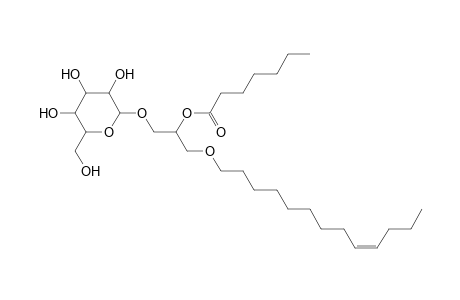 MGDG O-13:1_7:0