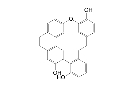 ISORICCARDIN-C