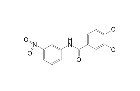 3,4-dichloro-3'-nitrobenzanilide