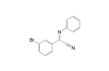 (m-BROMOPHENYL) (PHENYLIMINO)ACETONITRILE