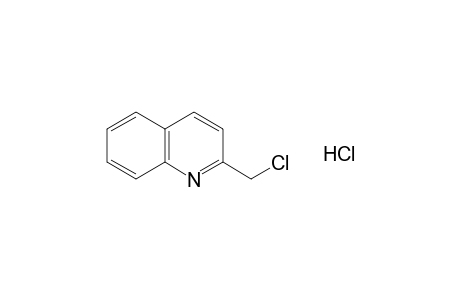 2-(Chloromethyl)quinoline hydrochloride