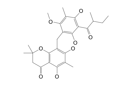 HOMOMALLOPALLIDOL;8-[2,4-DIHYDROXY-6-METHOXY-5-METHYL-3-(2-METHYL-BUTYRYL)-BENZYL]-5,7-DIHYDROXY-2,2,6-TRIMETHYL-CHROMAN-4-ONE