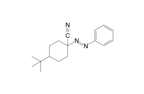 4-tert-butyl-1-(phenylazo)cyclohexanecarbonitrile