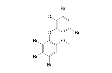 2-(4',5',6')-TRIBrOMO-2'-METHOXYPHENOXY)-4,6-DIBrOMOPHENOL