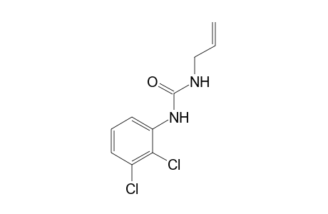 1-allyl-3-(2,3-dichlorophenyl)urea