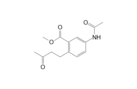 methyl 5-acetamido-2-(3-oxobutyl)benzoate