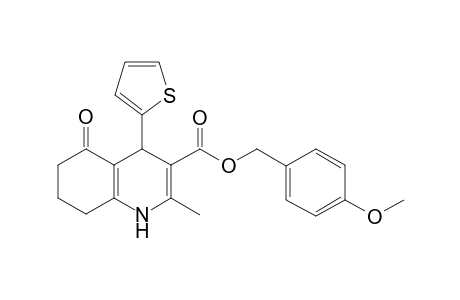 (4-methoxyphenyl)methyl 2-methyl-5-oxidanylidene-4-thiophen-2-yl-4,6,7,8-tetrahydro-1H-quinoline-3-carboxylate