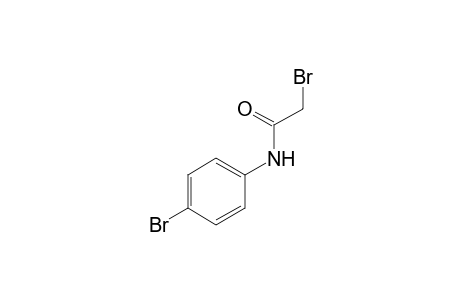2,4'-dibromoacetanilide