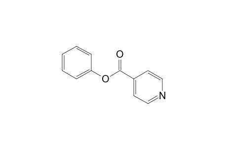 isonicotinic acid, phenyl ester