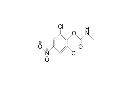 Carbamic acid, methyl-, 2,6-dichloro-4-nitrophenyl ester