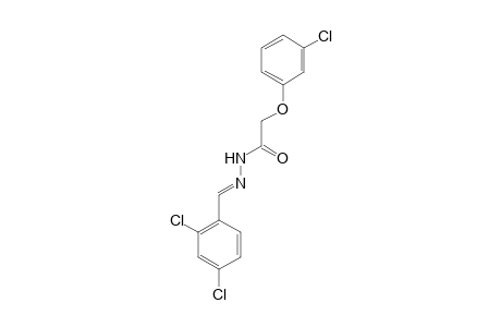 2-(3-Chlorophenoxy)-N'-(2,4-dichlorobenzylidene)acethydrazide