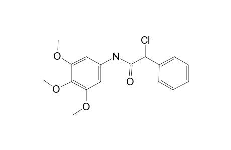 Acetamide, 2-chloro-N-(3,4,5-trimethoxyphenyl)-2-phenyl-