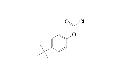 p-tert-BUTYLPHENOL, CHLOROFORMATE