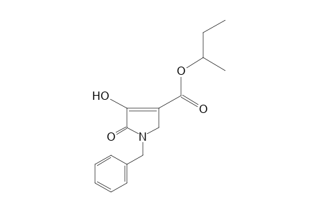 1-benzyl-4-hydroxy-5-oxo-3-pyrroline-3-carboxylic acid, sec-butyl ester