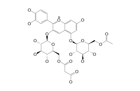 PELARGONIDIN-3-O-(6-O-(MALONYL)-BETA-D-GLUCOPYRANOSIDE)-5-O-(6-O-(ACETYL)-BETA-D-GLUCOPYRANOSIDE)