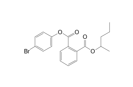 Phthalic acid, 4-bromophenyl 2-pentyl ester