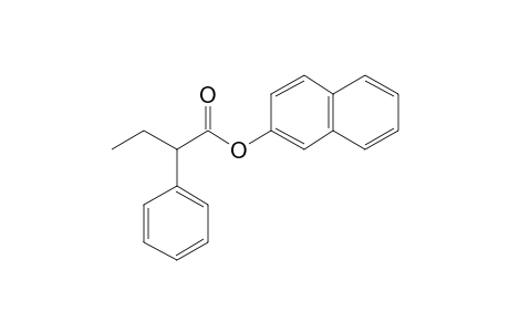 Butyric acid, 2-phenyl-, naphth-2-yl ester