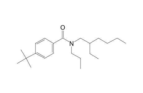 Benzamide, 4-tert-butyl-N-propyl-N-(2-ethylhexyl)-