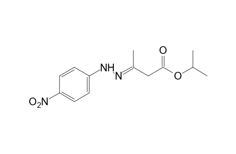 acetoacetic acid, isopropyl ester, p-nitrophenylhydrazone