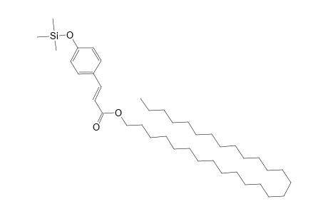 Octacosyl p-coumarate, mono-TMS