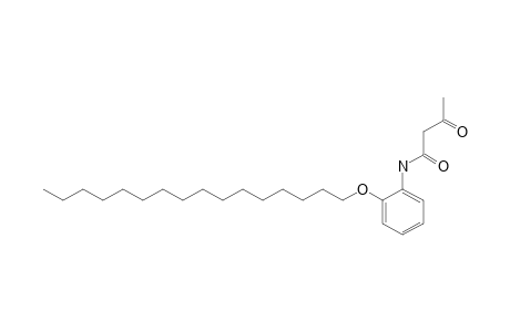 2'-(hexadecyloxy)acetoacetanilide