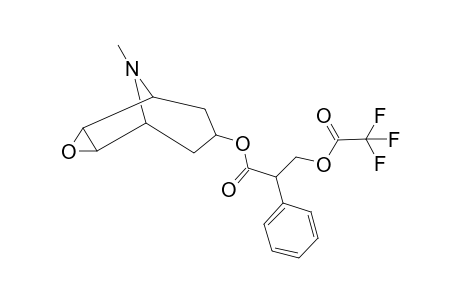 Scopolamine TFA